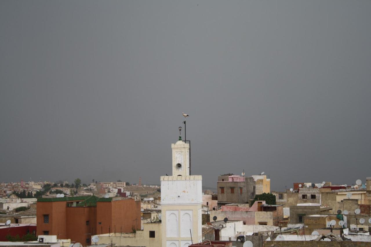 Riad Yamcha مكناز المظهر الخارجي الصورة